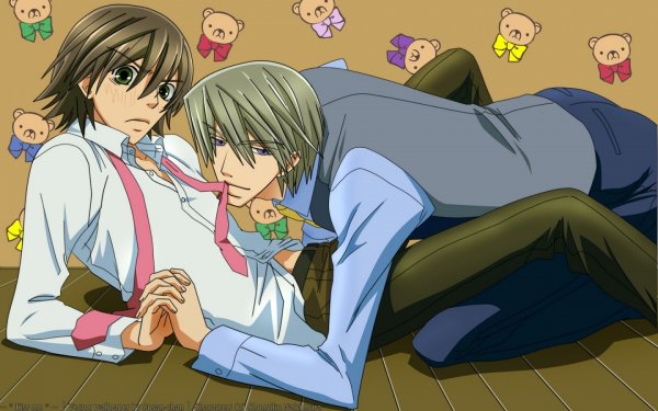 Junjou Romantica аниме