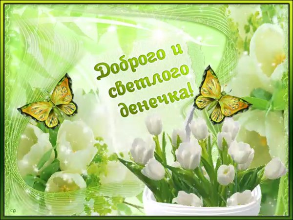 Доброго светлого дня