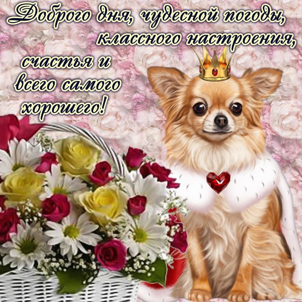 Пожелания доброго дня