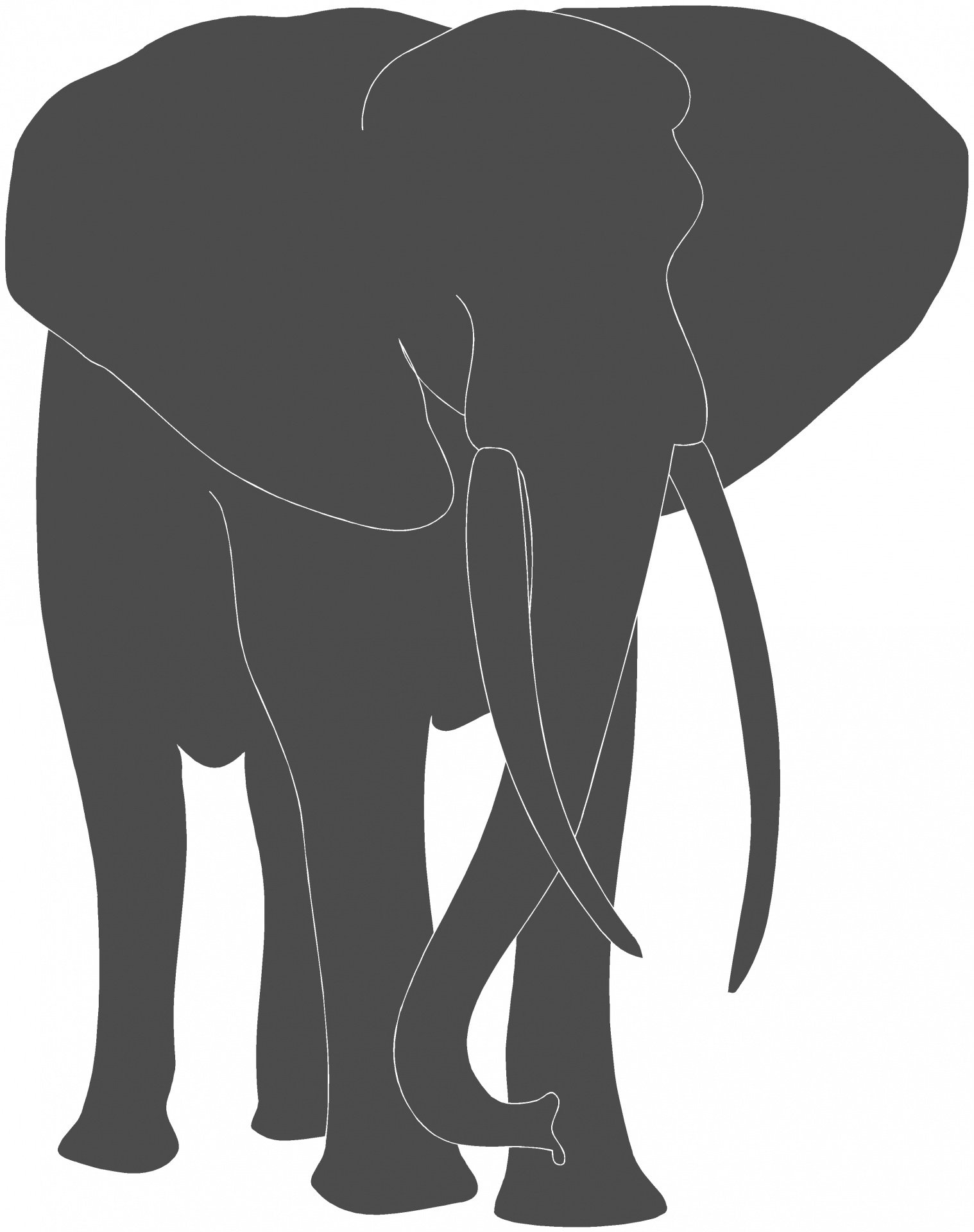Слоны силуэт