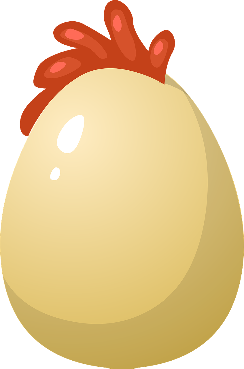 Яйцо вектор