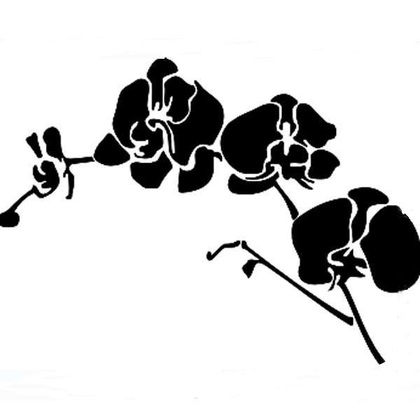 Стилизованные орхидеи