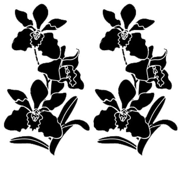 Орхидеи векторное изображение