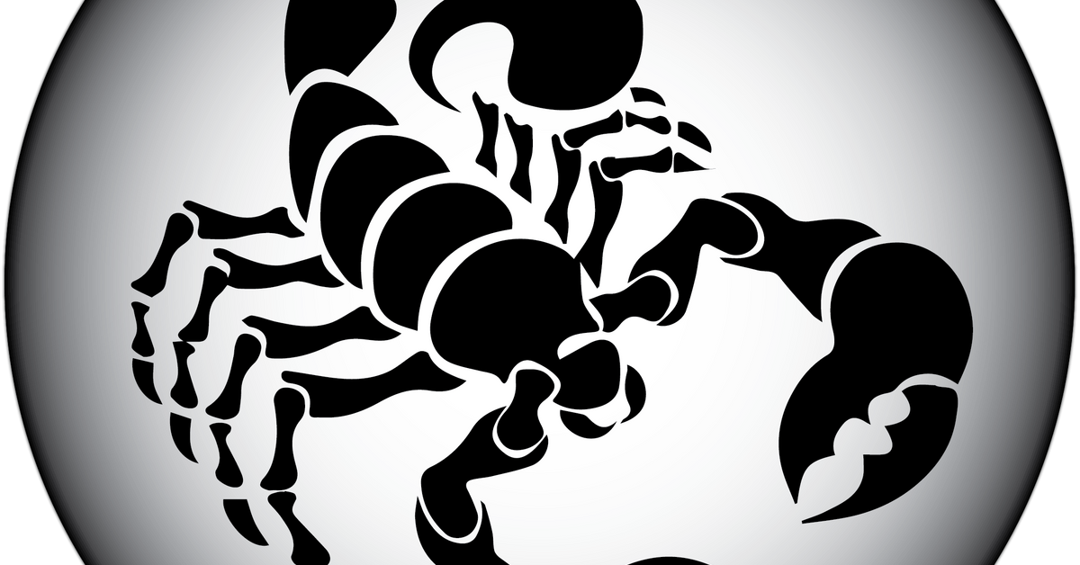 Скорпион. Скорпион векторное изображение. Скорпион векторный рисунок. Скорпион силуэт.
