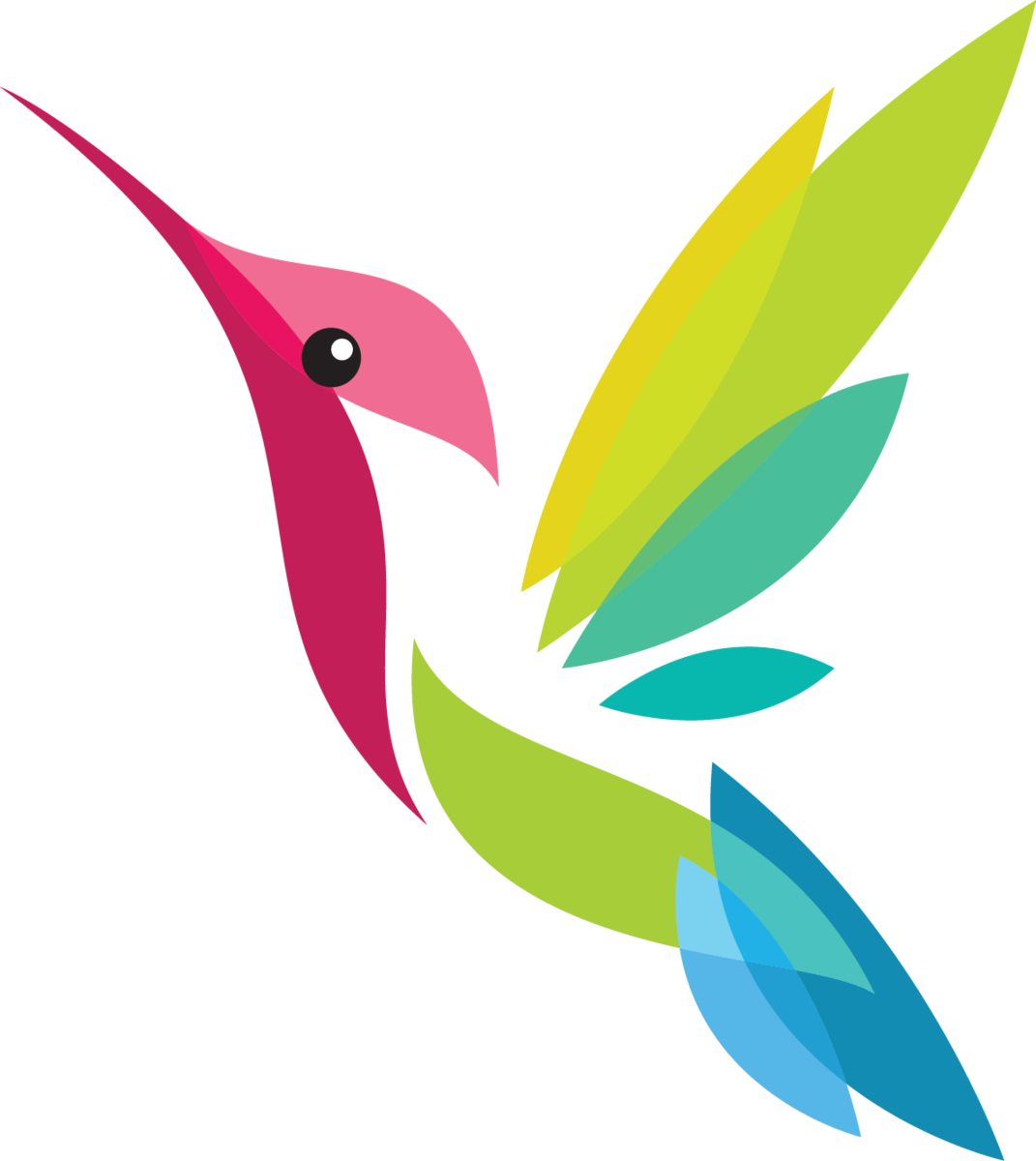 Колибри. Птица вектор. Логотип птица. Колибри логотип.