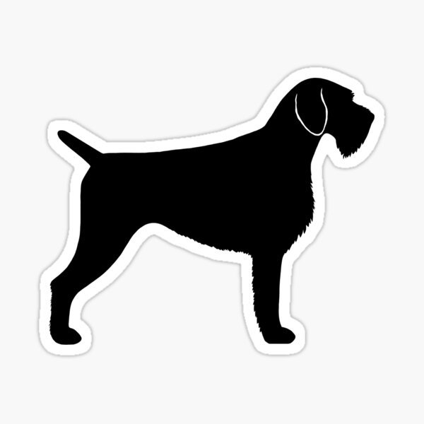 Силуэты собаки дратхаар