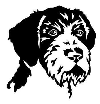 Дратхаар силуэт