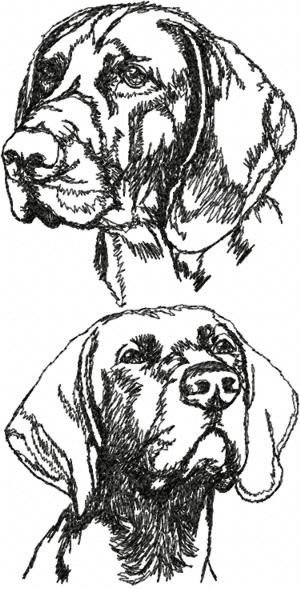 Дратхаар Выжигание по дереву