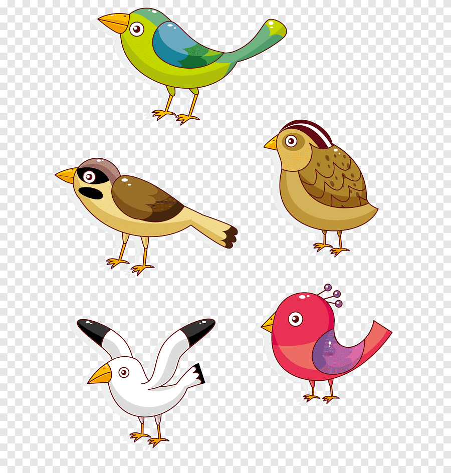 Птицы мультяшные много