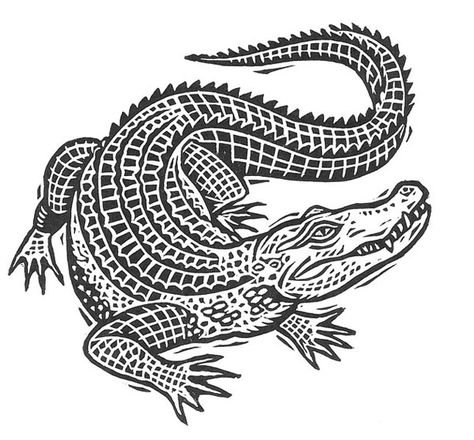 Крокодил эскиз