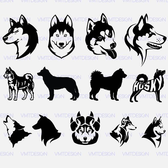 Хаски стилизация