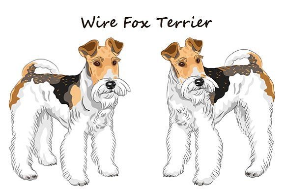 Фокстерьер мультяшные картинки