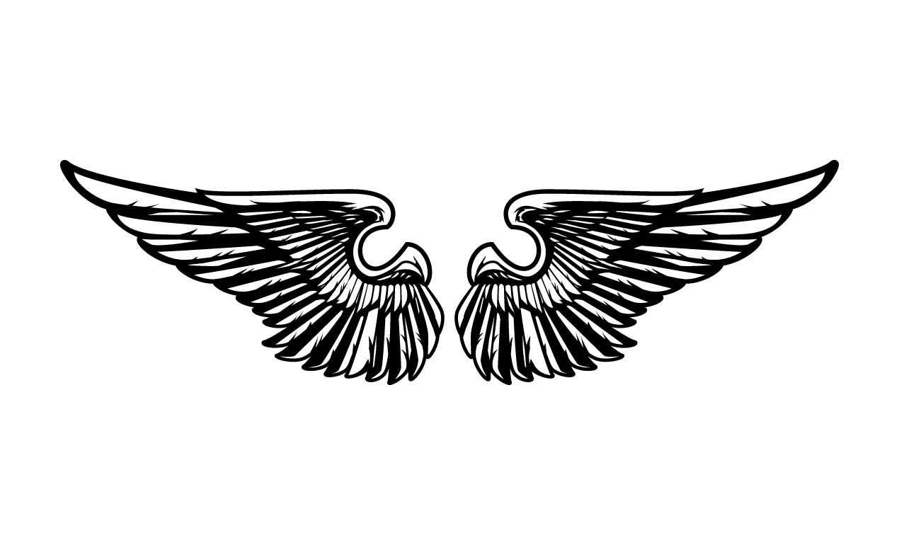 Символ два крыла. Крылья эскиз. Крылья вектор. Крылья символ. Логотип Крылья.