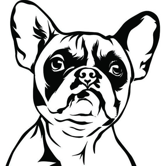 Французский бульдог трафарет