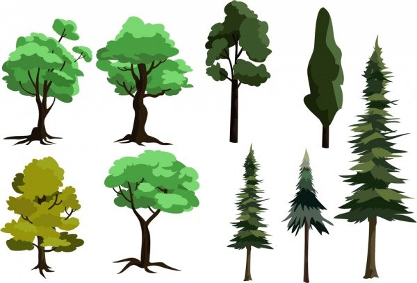 Different Types of Trees