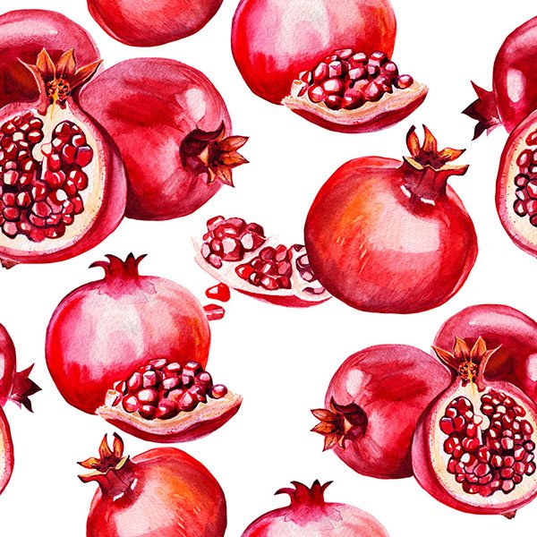 Гранат векторный