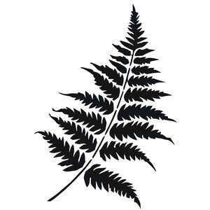 Папоротник силуэт