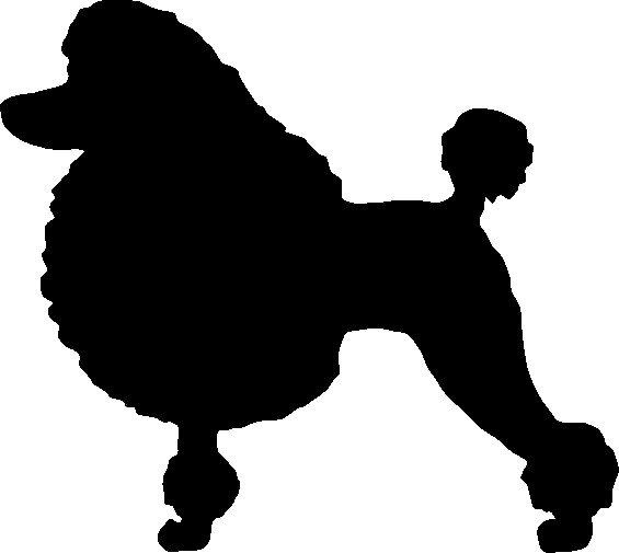 Силуэт пуделя