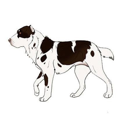 CARTOONIZEMYPET алабай