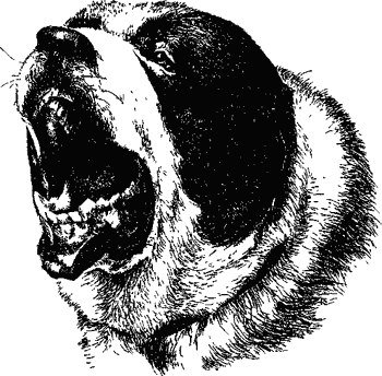 Тату алабай