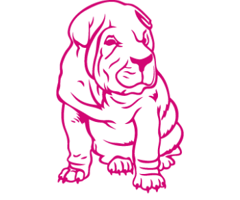 Наклейка шарпей на авто