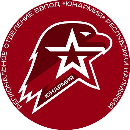 Эмблемы отряда Юнармия "звезда"