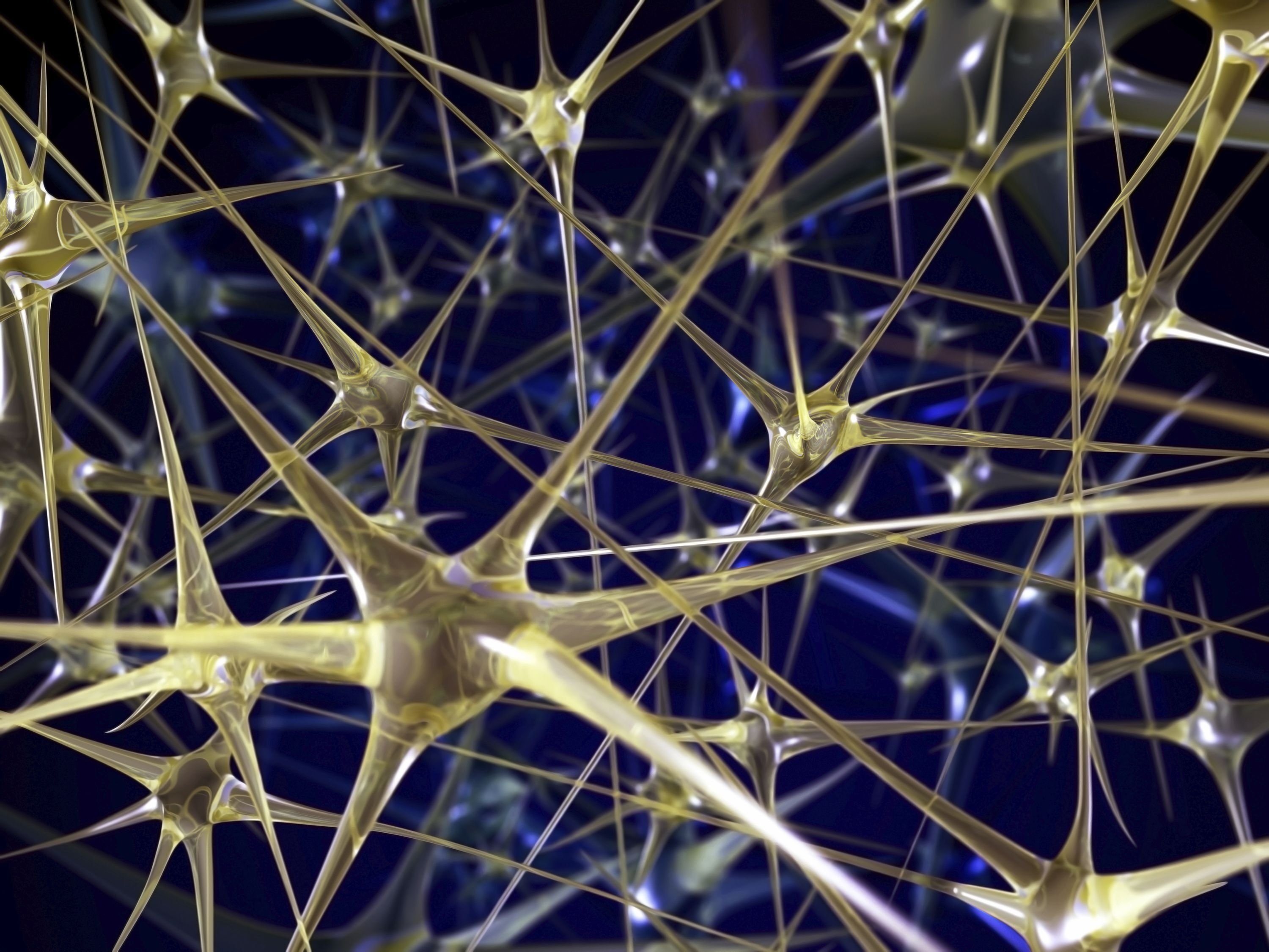 Самая большая нейросеть. Нейронная сеть. Искусственная нейронная сеть. Нейронная сеть мозга. Нейрон нейросети.