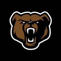 Басс медведь