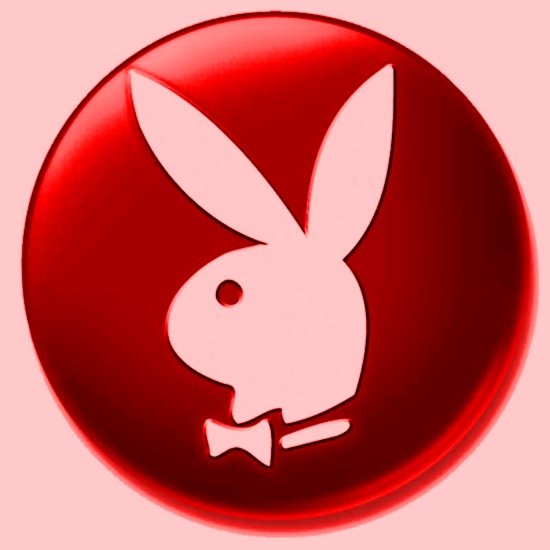 Купить куртку с эмблемой плейбой морскую