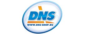 DNS старый логотип
