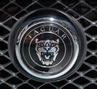 Ягуар машина знак