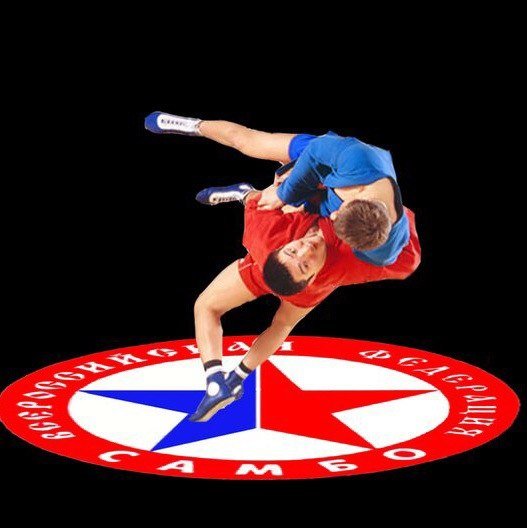 Самбо баннер