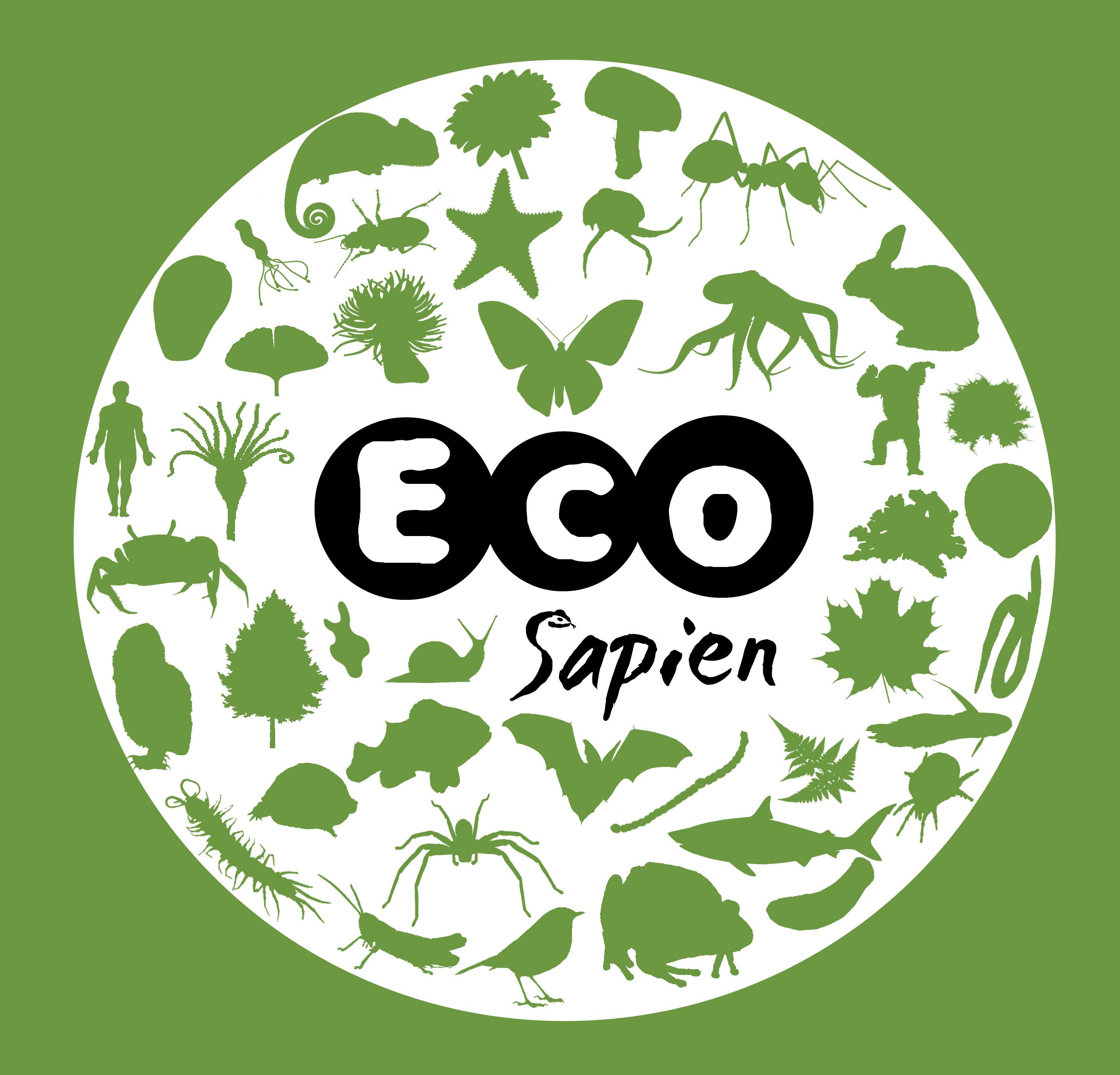 Эко. Eco логотип. «Eco (эко)». ЭКОЛЭНД логотип.
