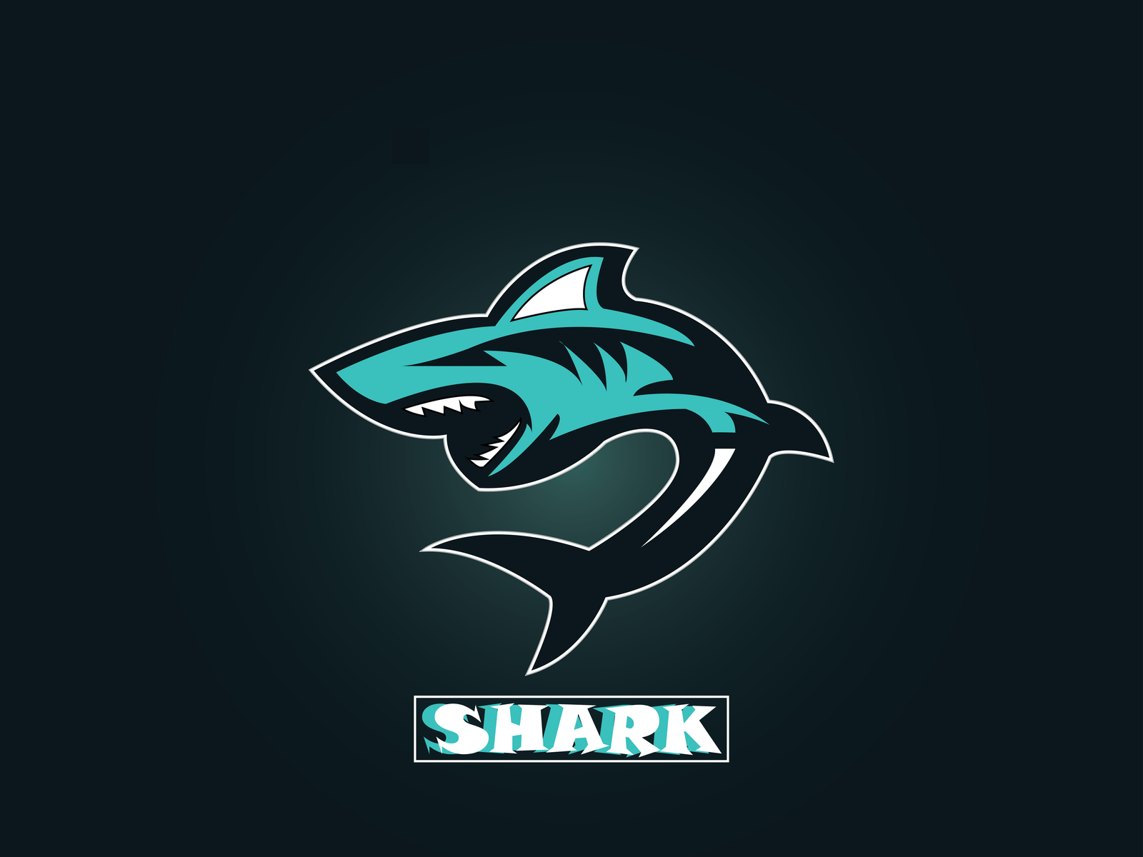 Акула эмблема. Shark надпись. Shark логотип. Акула рисунок. Раскрутка сайта team shark