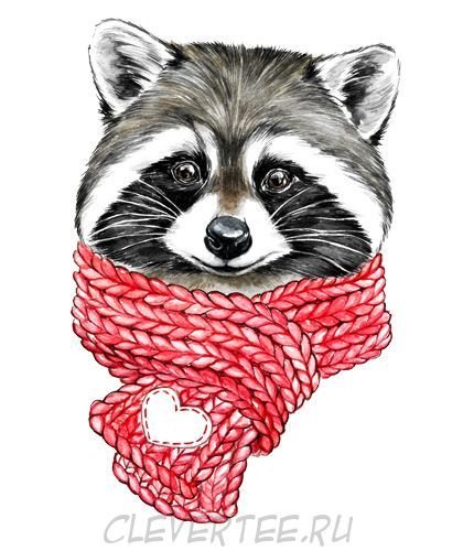 Енот в шарфе