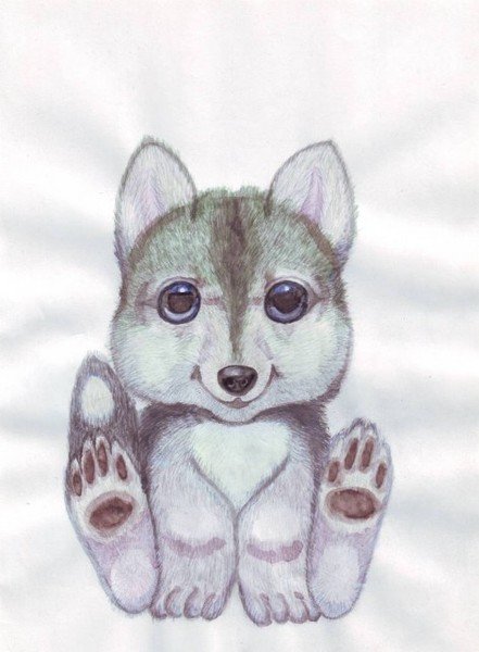 Волчата для рисования