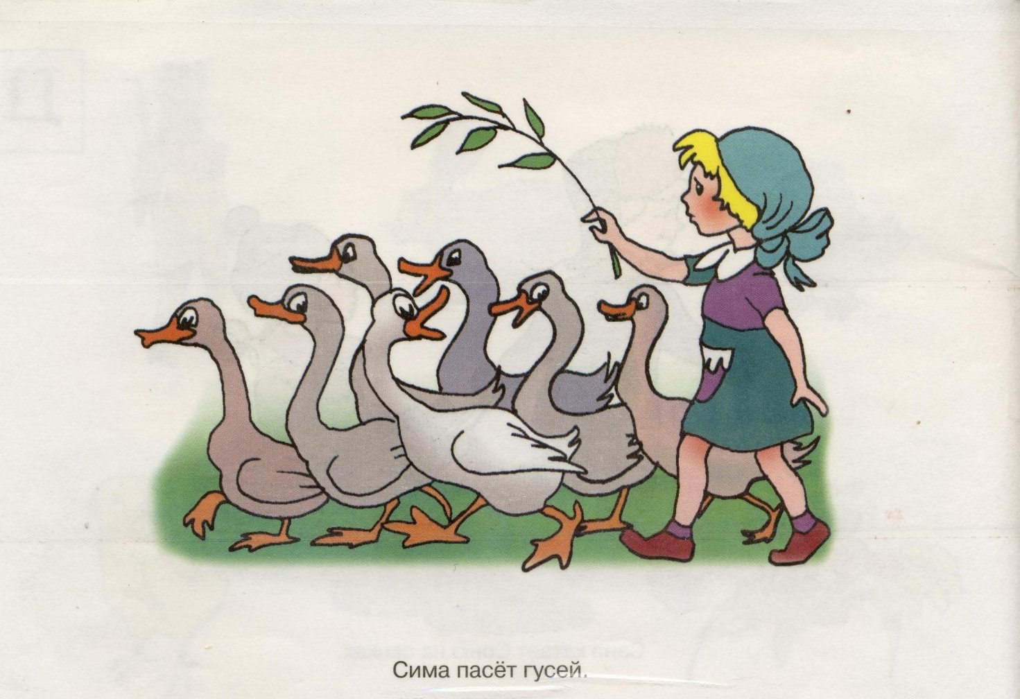 Про веселых гусей. Гусь иллюстрация. Веселые гуси. Пасти гусей. Гусь рисунок для детей.