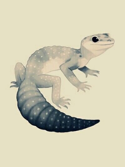 Геккон эублефар арт