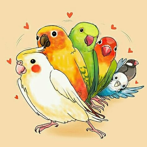 Рисунки милых попугайчиков