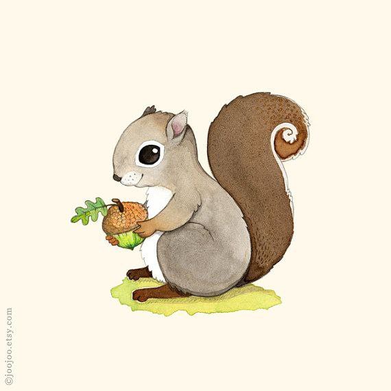 Милые белочки для срисовки