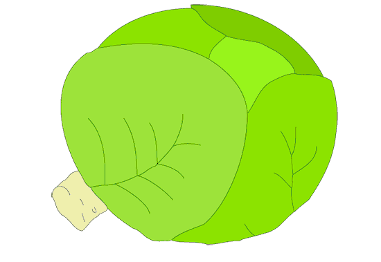 Капуста рисунки милые (56 фото)