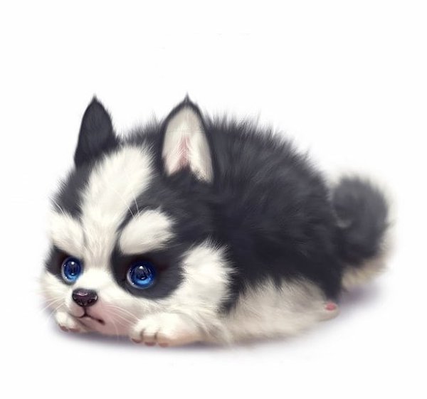 Кавайные собаки хаски