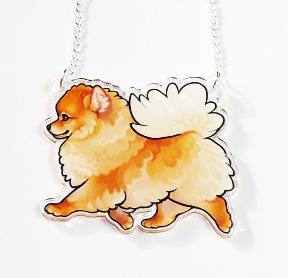 Померанский шпиц аниме