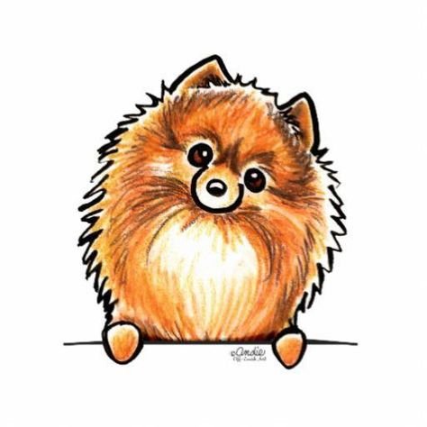 Рисунки шпица для срисовки легкие