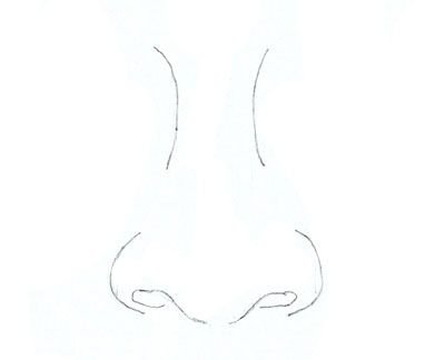 Нос для срисовки карандашом