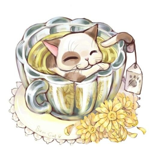 Чайные кошки от the Magic Cats Street