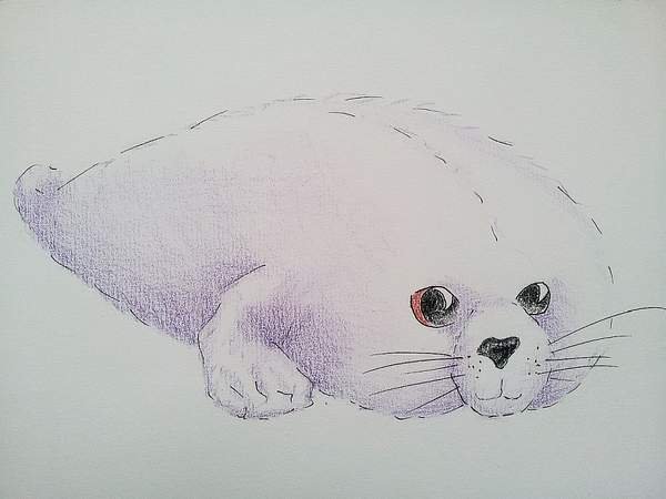 Рисунки Моржиков милых