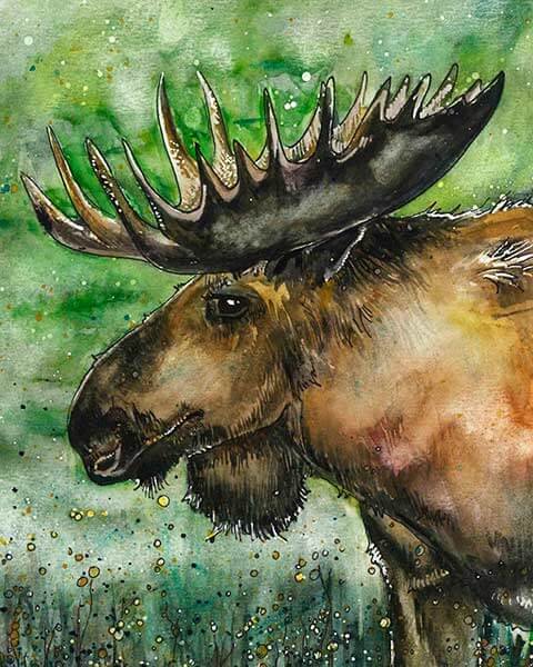 Акварельный лосенок