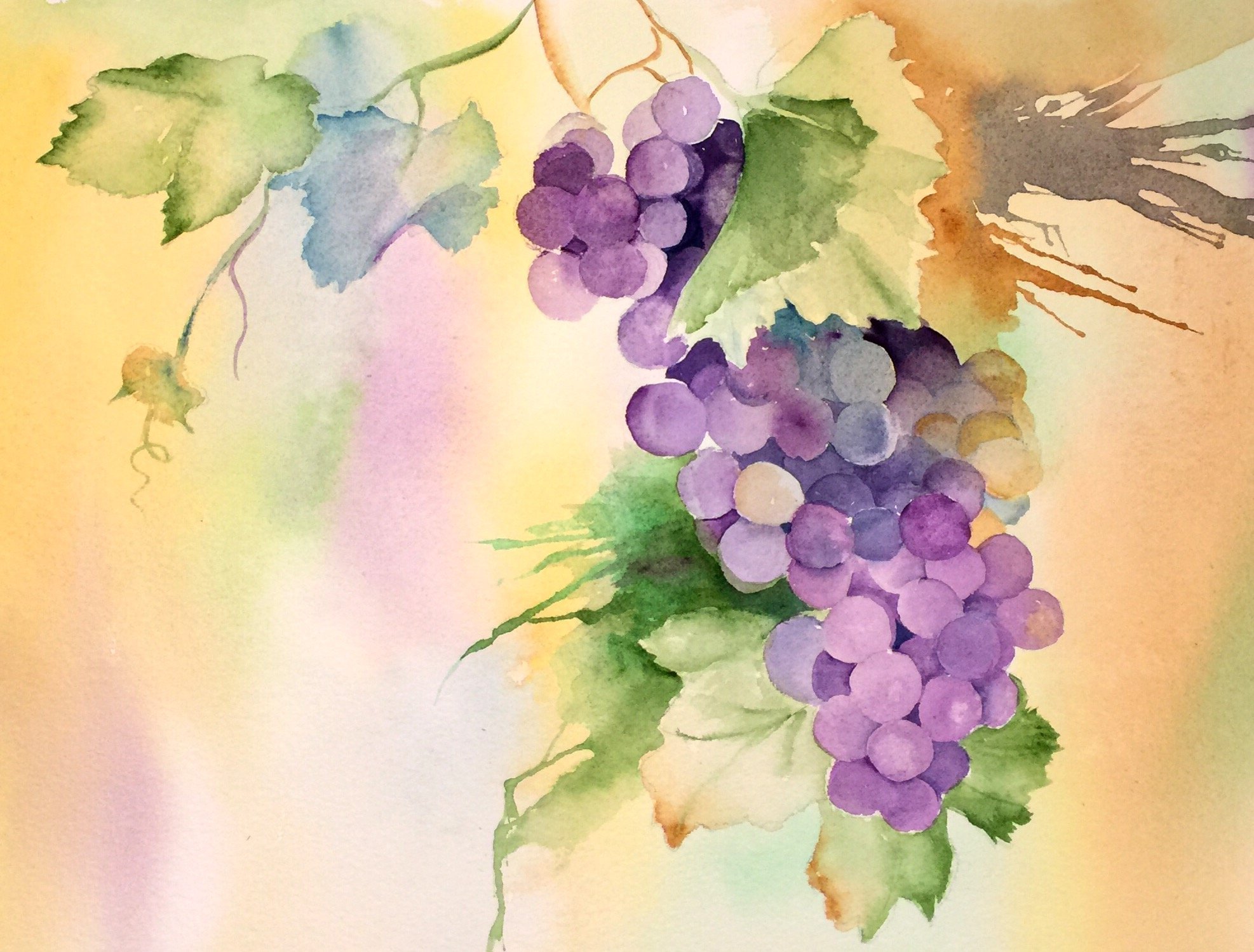 Нарисованный виноград красками