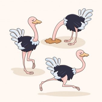 Кавайная. Страус